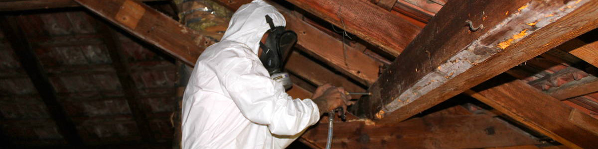 Charpente et Traitement de Charpente à Gouvieux (60270) – Fréderic couverture, Experts en Travaux de Charpente dans l’Oise (60)