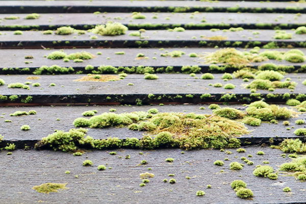 Nettoyage et démoussage de toiture à Gouvieux (60270) dans l’Oise (60)